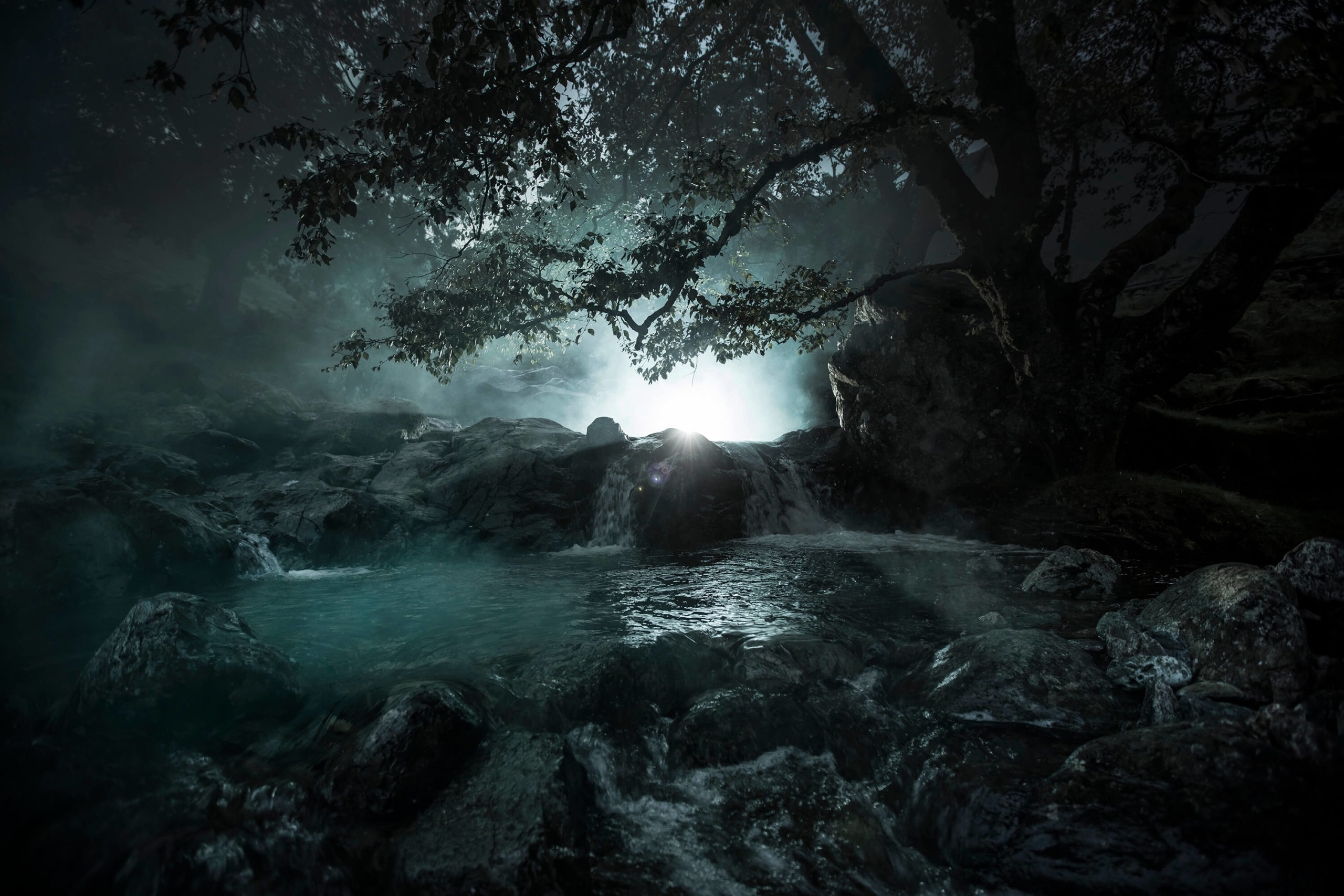 Landscape